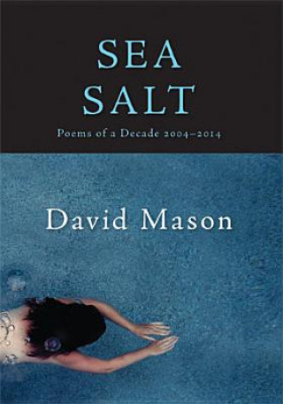 Kniha Sea Salt David Mason