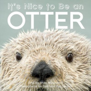 Carte It's Nice to Be an Otter Molly Woodward