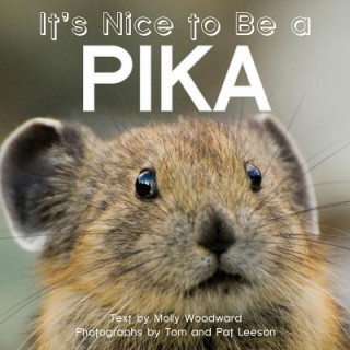 Carte It's Nice to Be a Pika Molly Woodward