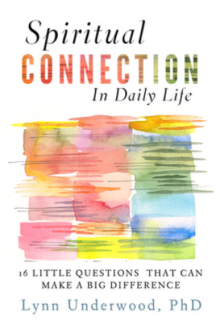 Kniha Spiritual Connection in Daily Life Lynn Underwood