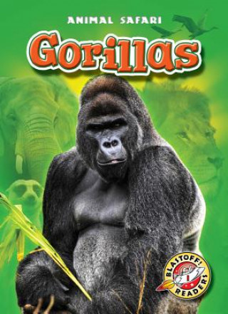Książka Gorillas Derek Zobel