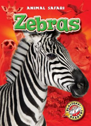 Buch Zebras Derek Zobel