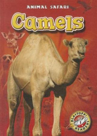 Libro Camels Megan Borgert-spaniol