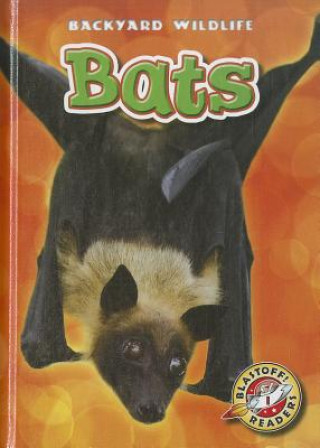 Книга Bats Kari Schuetz