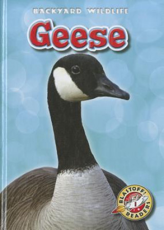 Knjiga Geese Megan Borgert-spaniol