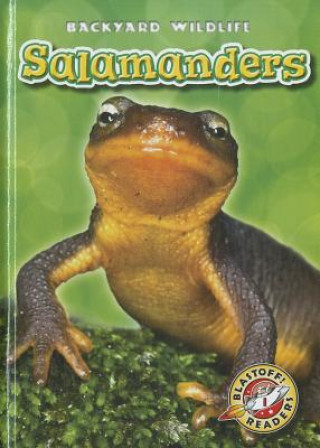 Knjiga Salamanders Megan Borgert-spaniol