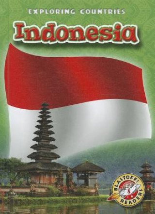 Книга Indonesia Lisa Owings