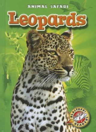 Buch Leopards Megan Borgert-spaniol