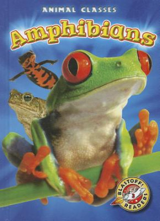 Kniha Amphibians Kari Schuetz