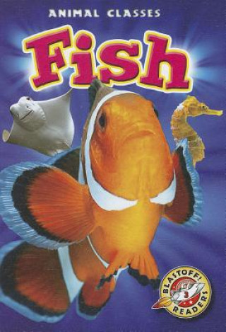 Kniha Fish Kari Schuetz
