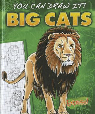 Kniha Big Cats Jon Eppard