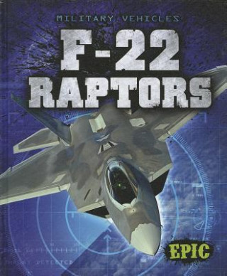 Carte F-22 Raptors Denny Von Finn