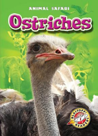 Knjiga Ostriches Kari Schuetz