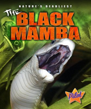 Könyv The Black Mamba Lisa Owings