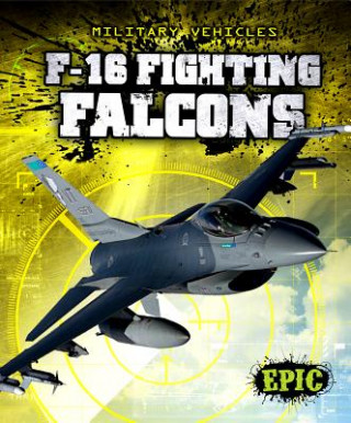 Книга F-16 Fighting Falcons Denny Von Finn