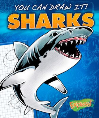 Книга Sharks Maggie Rosier