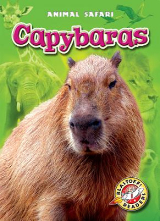 Könyv Capybaras Megan Borgert-spaniol