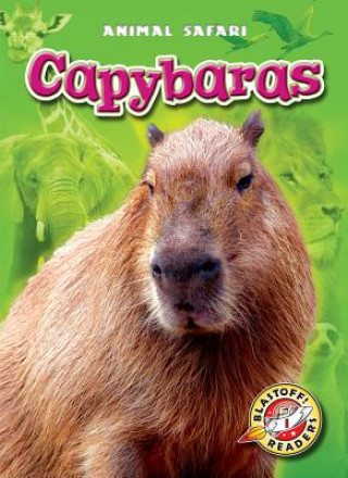 Kniha Capybaras Megan Borgert-spaniol