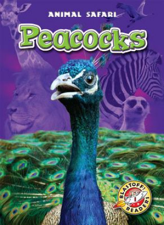 Könyv Peacocks Megan Borgert-spaniol