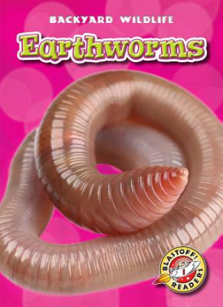 Könyv Earthworms Megan Borgert-spaniol