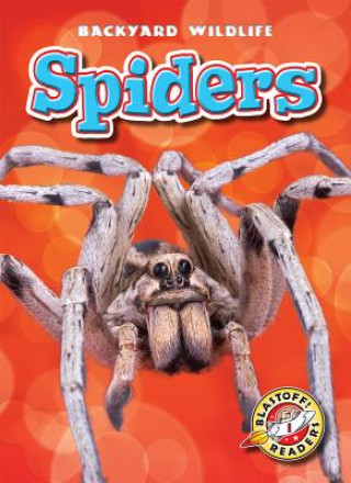 Libro Spiders Megan Borgert-spaniol