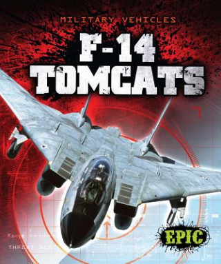 Könyv F-14 Tomcats Denny Von Finn