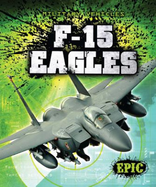 Книга F-15 Eagles Denny Von Finn