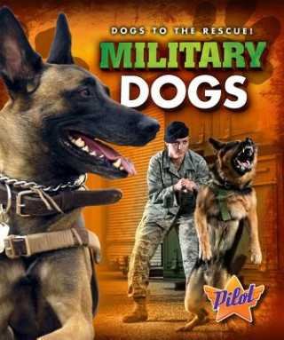 Carte Military Dogs Sara Green