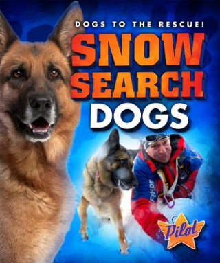 Kniha Snow Search Dogs Sara Green