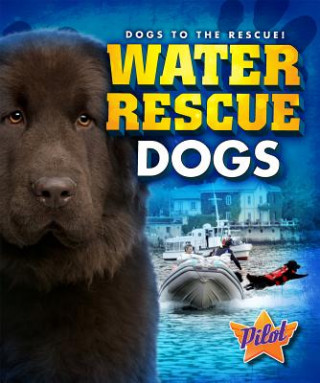 Book Water Rescue Dogs Sara Green