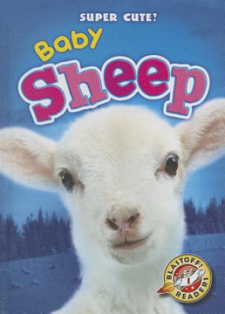 Libro Baby Sheep Christina Leaf