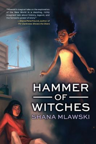 Książka Hammer of Witches Shana Mlawski