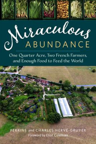 Книга Miraculous Abundance Perrine Herve-Gruyer