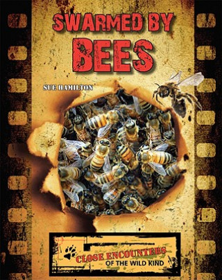 Buch Swarmed by Bees Sue Hamilton