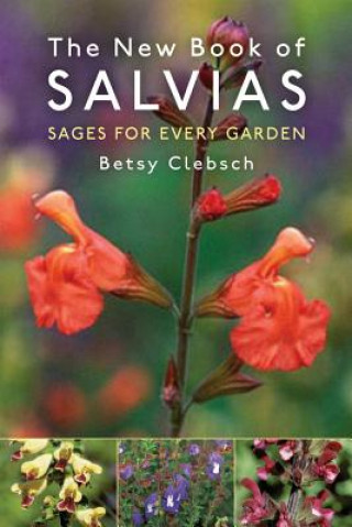 Kniha New Book of Salvias Betsy Clebsch