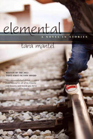 Книга Elemental Tara Mantel