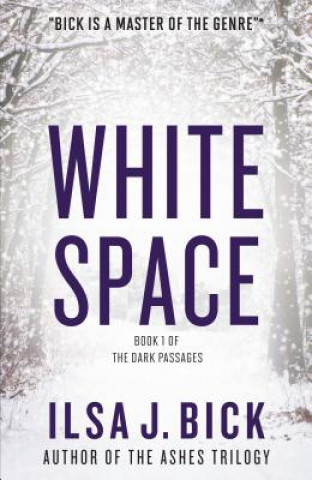 Kniha White Space Ilsa J. Bick