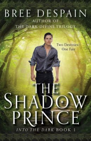 Kniha The Shadow Prince Bree Despain
