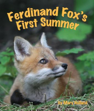 Libro Ferdinand Fox's First Summer Mary Holland