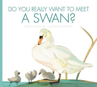 Kniha Do You Really Want to Meet a Swan? Cari Meister