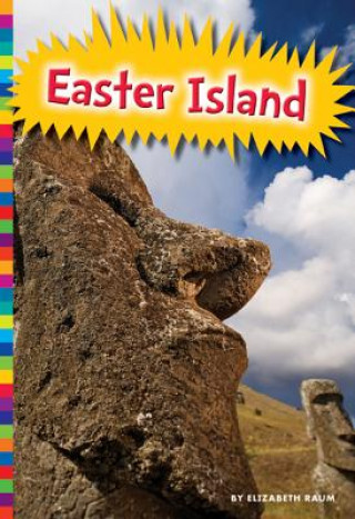 Livre Statues of Easter Island Elizabeth Raum