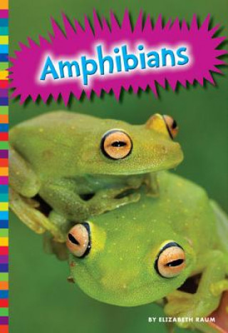 Kniha Amphibians Michelle Levine