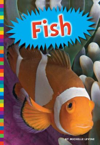 Kniha Fish Michelle Levine