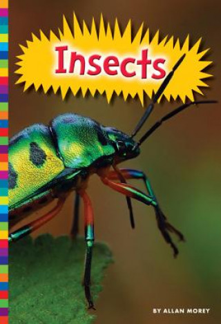 Книга Insects Allan Morey
