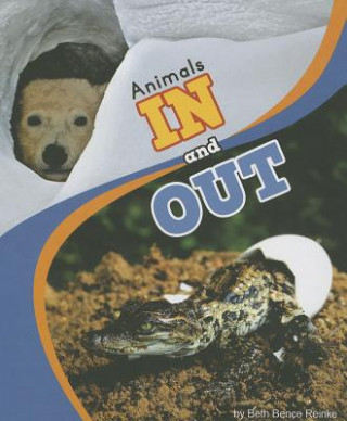 Книга Animals In and Out Beth Bence Reinke