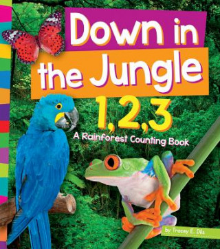 Kniha Down in the Jungle 1,2,3 Tracey E. Dils