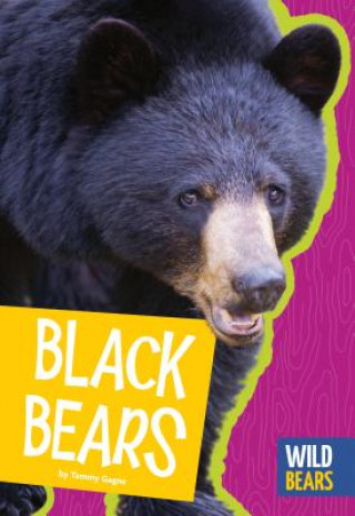 Carte Black Bears Tammy Gagne
