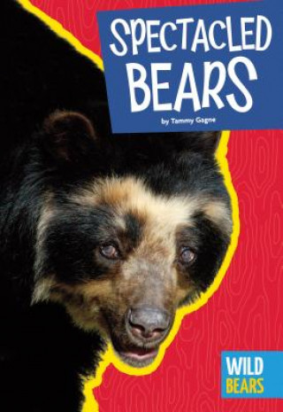 Carte Spectacled Bears Tammy Gagne