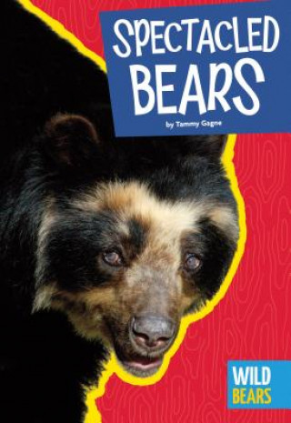 Kniha Spectacled Bears Tammy Gagne