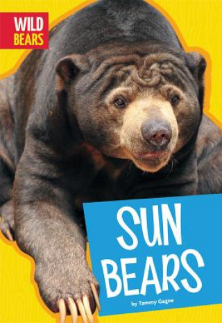 Kniha Sun Bears Tammy Gagne